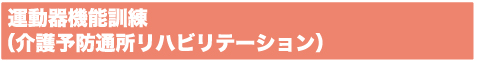 運動器機能訓練（介護予防通所リハビリテーション）